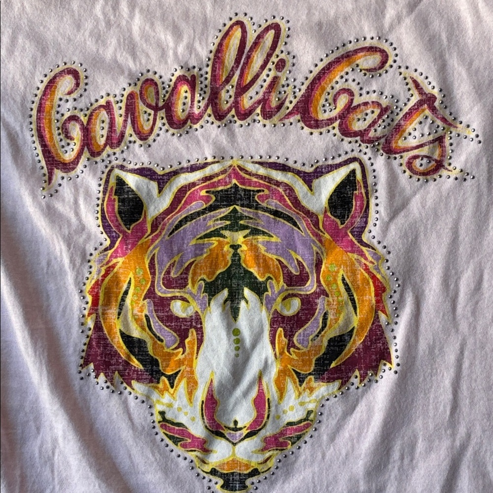 Roberto Cavalli Tiger Graphic Tee, XS